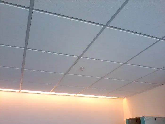 forro de fibra mineral